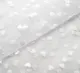 Branco 110601 001 - BRANCO | (11-0601) | 255, 254, 255
