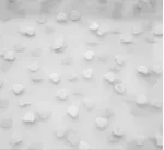 Branco 110601 001 - BRANCO | (11-0601) | 255, 254, 255