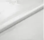 Branco 110601 001 - BRANCO | (11-0601) | 255, 254, 255