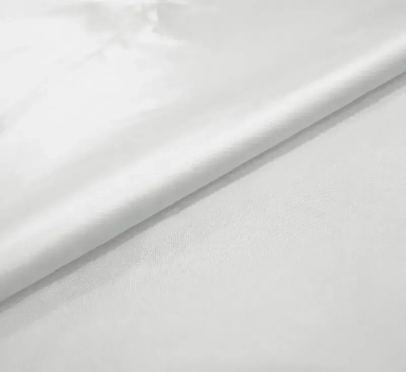 Branco 110601 001 - BRANCO | (11-0601) | 255, 254, 255